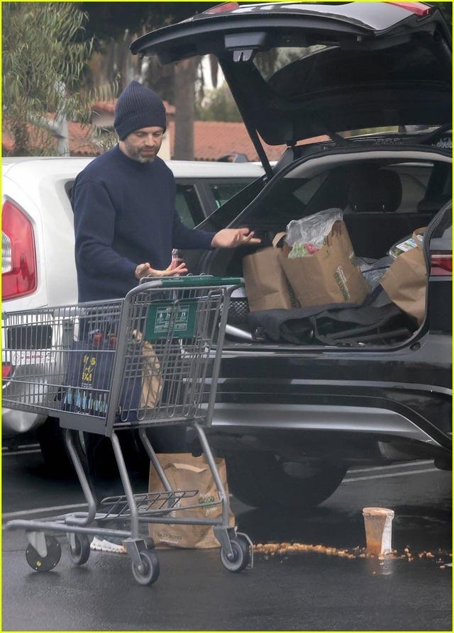 r/Fauxmoi - Please enjoy this series of photos showing Sebastian Stan dropping his groceries