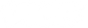 VICE INTERNATIONAL