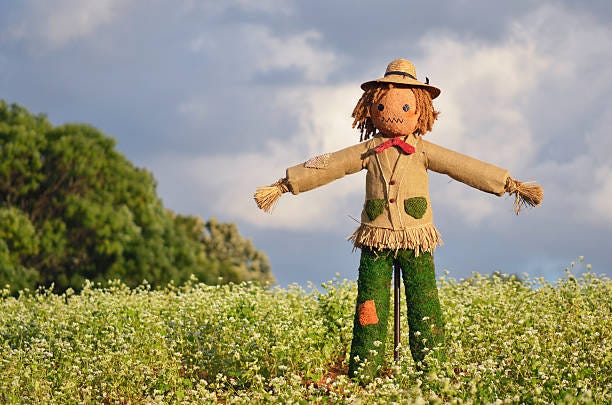 Strawman In Farm Stock Photo - Download Image Now - Scarecrow -  Agricultural Equipment, 2015, Agriculture - iStock