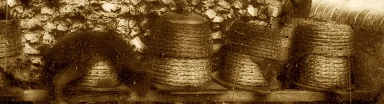 A row of skeps (beehives before the days of the removable-frame box hive)