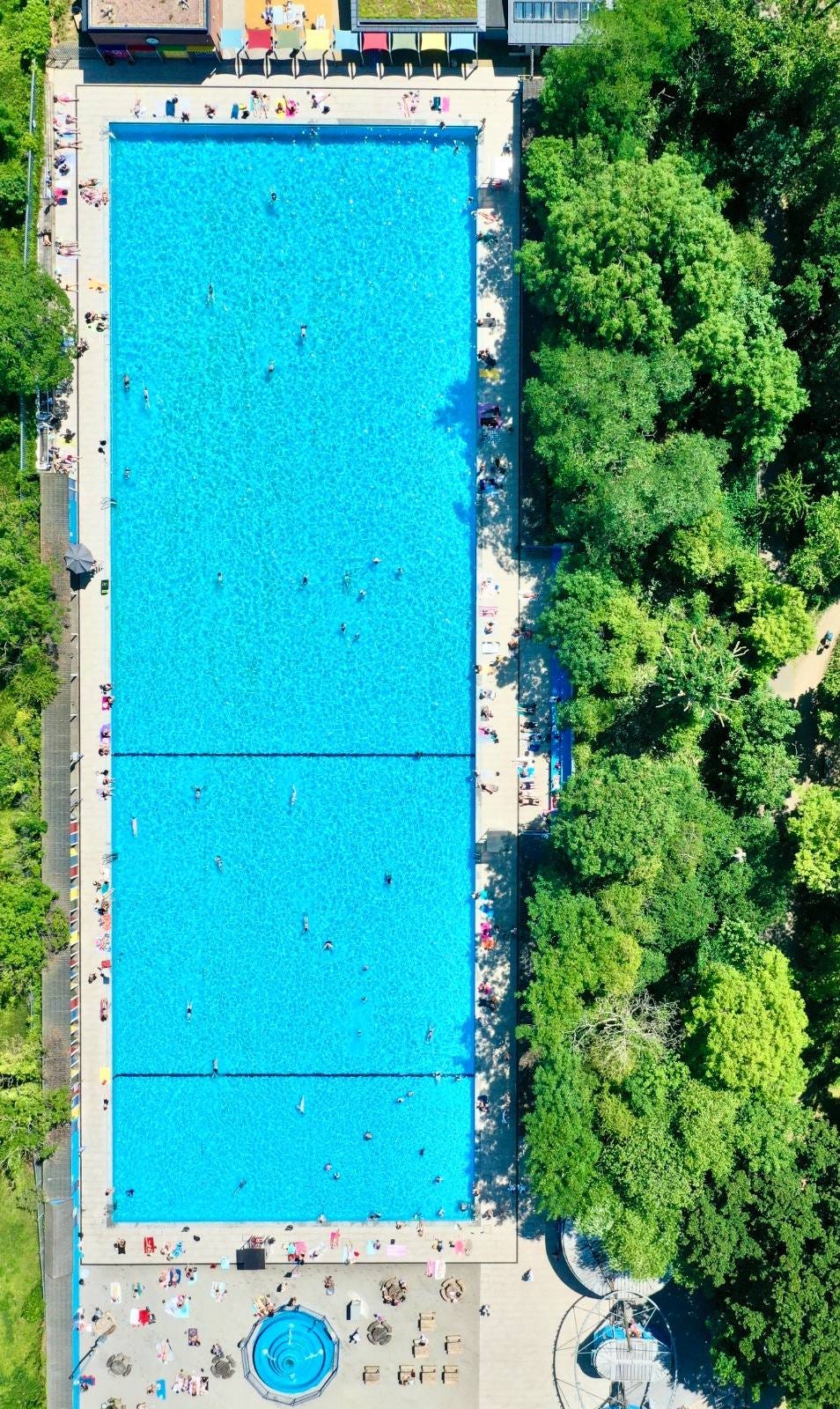 May be an image of swimming and pool