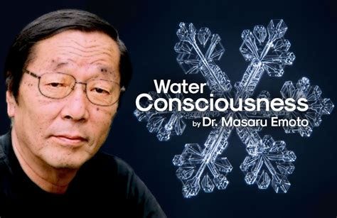 Dr Emoto Water Study Debunked | The Water Woo of Masaru Emoto - SDQVM