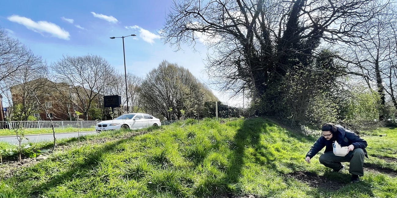 Sunday at Bill's Mother's: 6th April 2025