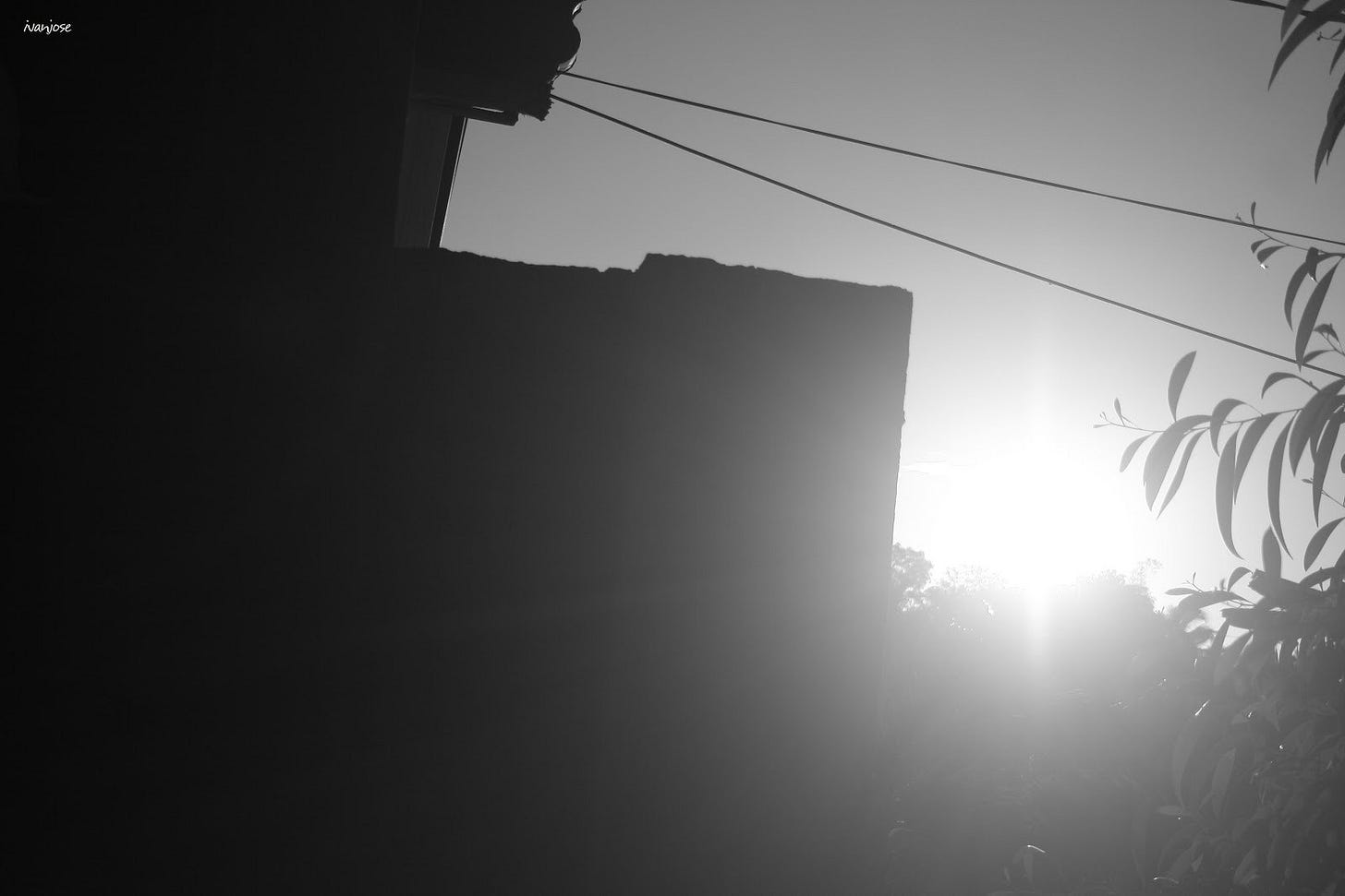 The last sunlight of the year 2011