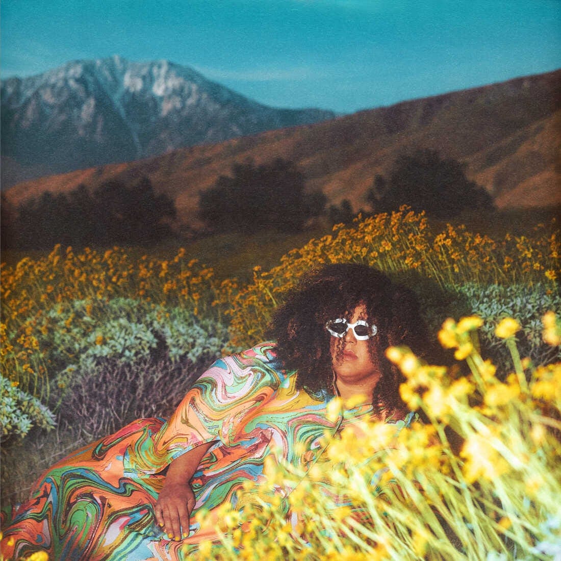 Brittany Howard: What Now Album Review | Pitchfork