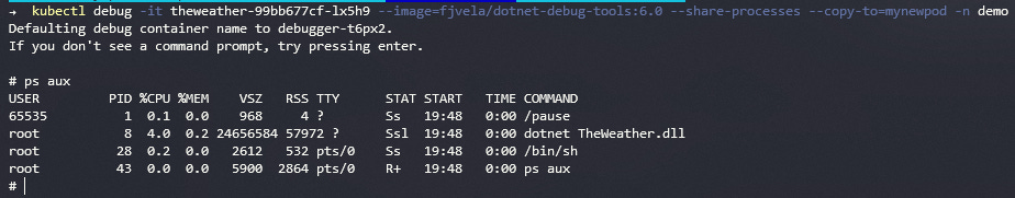 Resultados ejecución comandos kubectl debug y ps aux Resultados ejecución comandos kubectl debug y ps aux