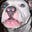 FeralDog's avatar