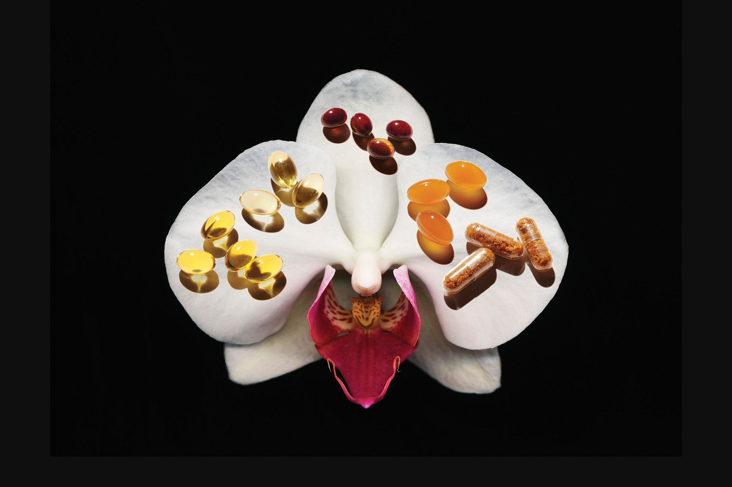 a white and pink orchid with supplements resting on its petals