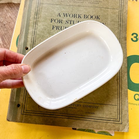 antique books, united airlines ceramic dish, plant books, winnie the pooh