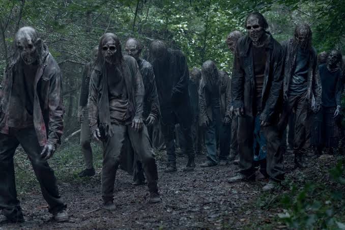 AMC cancellation bloodbath AMC cancellation bloodbath