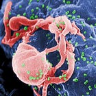 Another HIV "piece" in the Spike Protein