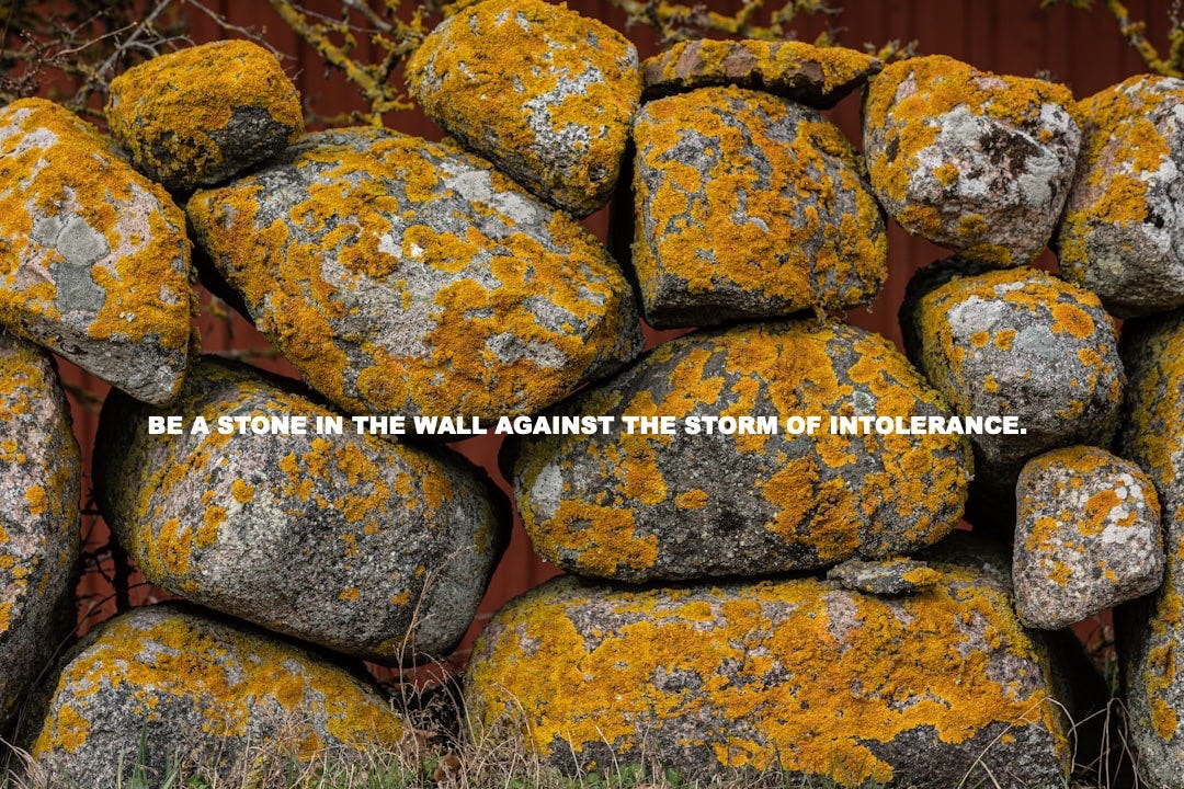 a pile of rocks with yellow moss growing on them