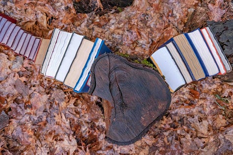 composting books, abstractions, photo essay, decomposing paper