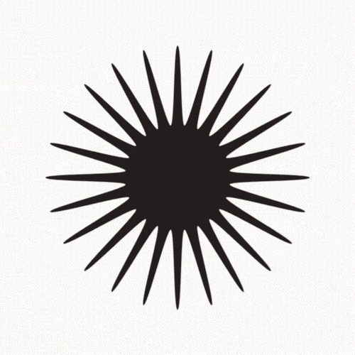 Sobre todas as coisas