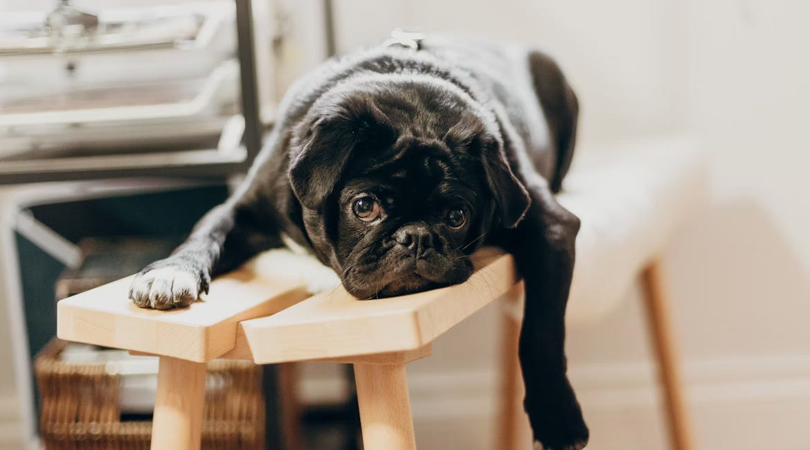 Why We Get Bored (And What It Teaches Us)