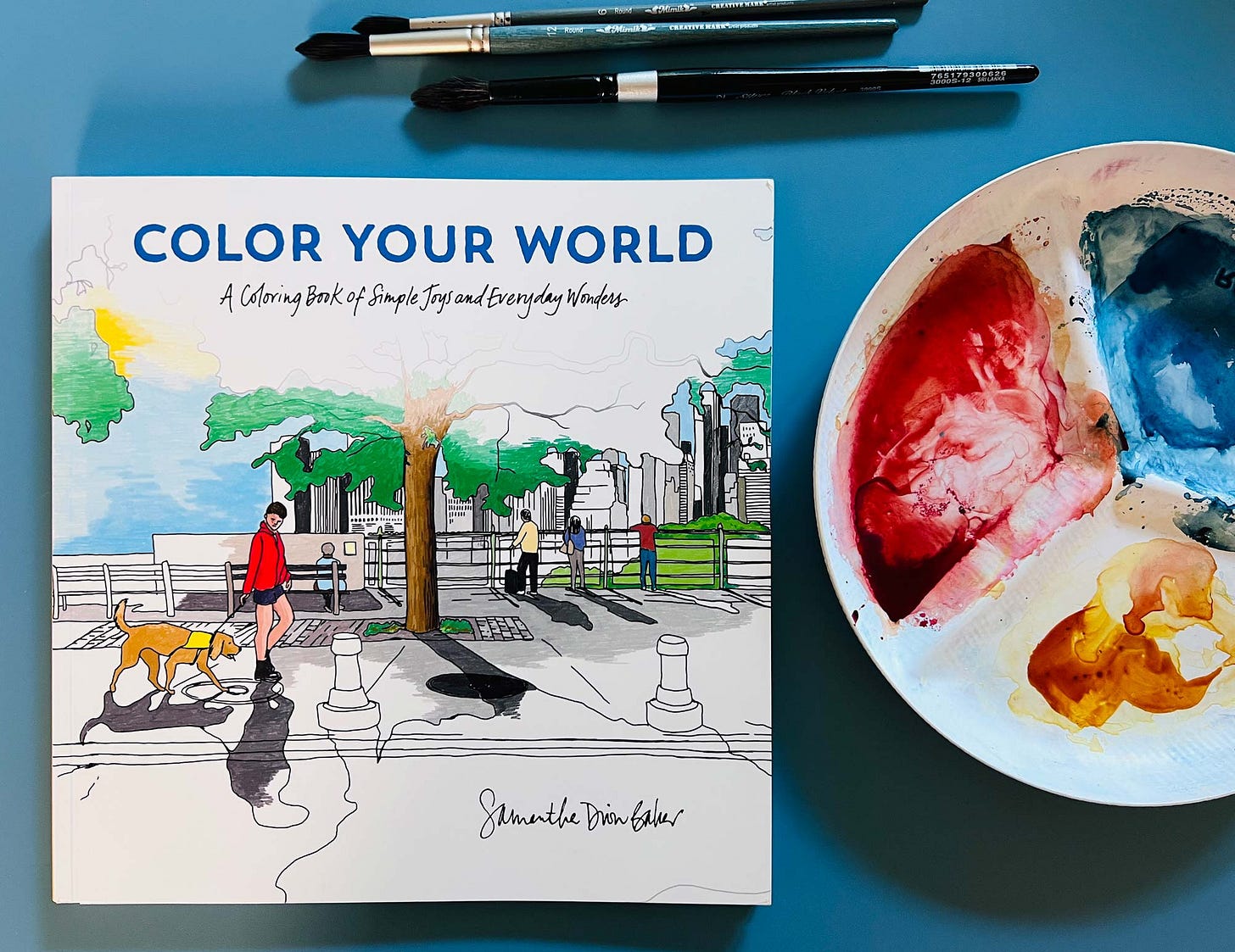 K. Woodman-Maynard, photograph of Samantha Dion Baker’s book, “Color Your World.”