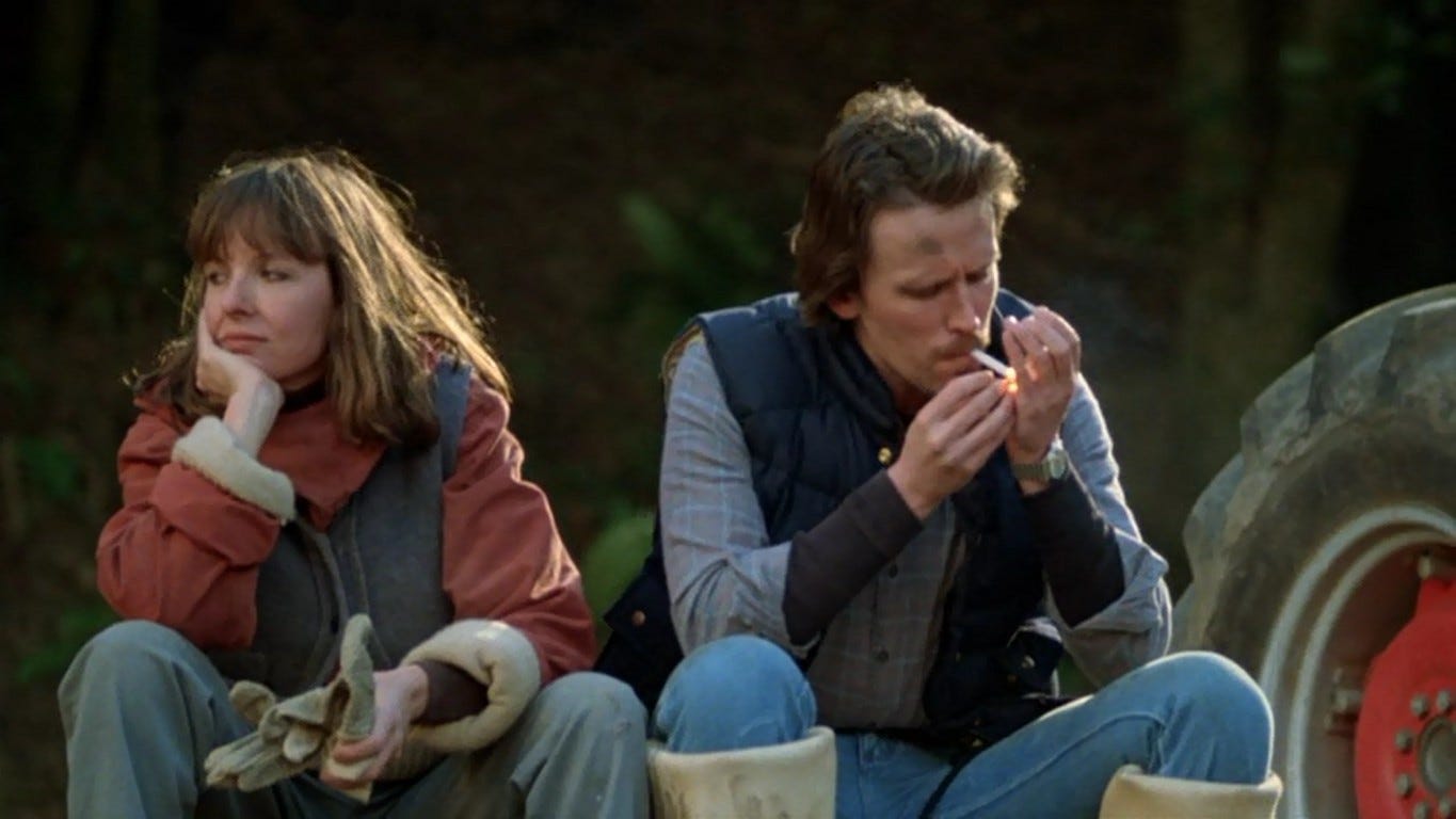 Shoot the Moon (1982)
