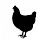 Black Chicken Substack