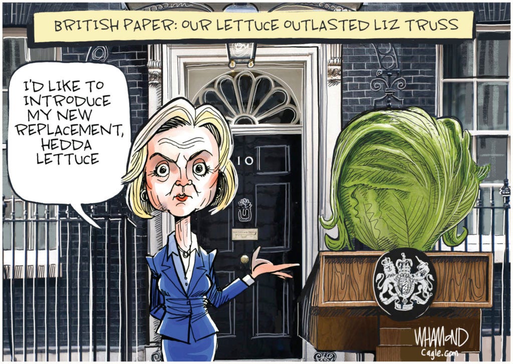 2022: The year in cartoons – POLITICO