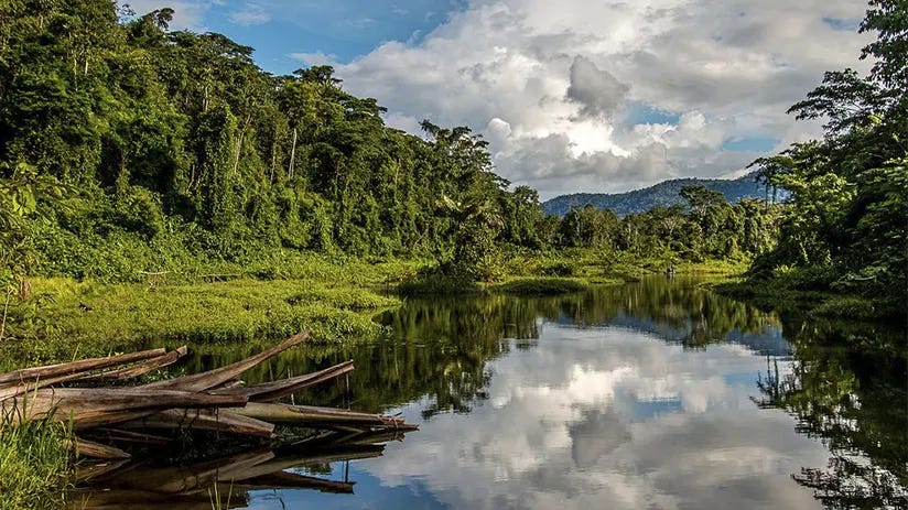 Peru Amazon Itinerary: How to Explore the Rainforest | Blog