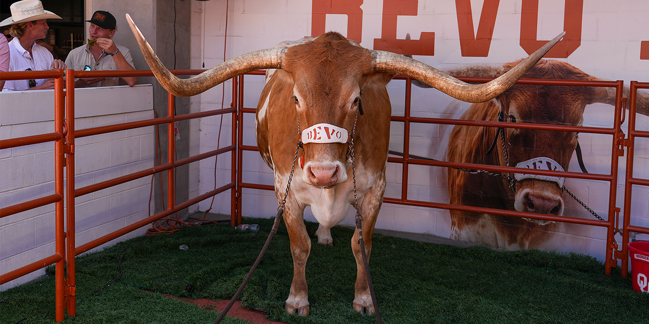 Week 8 Tasting Menu: Horn Dawg