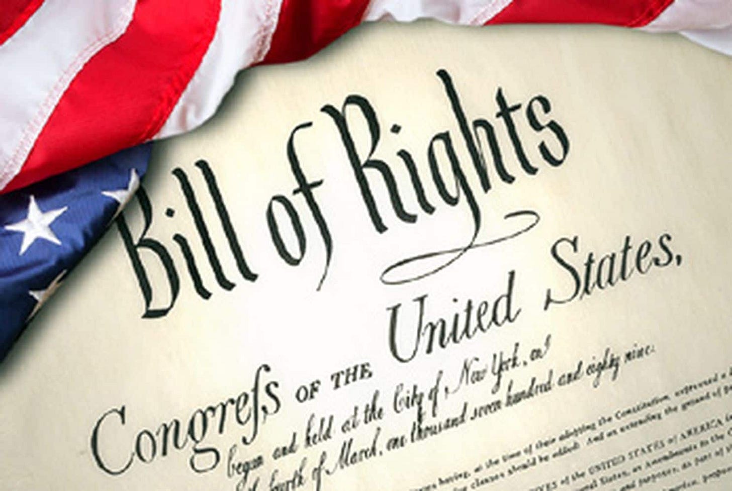 Constitutional law scholars' amicus brief in the travel ban case explains why the Bill of Rights ...