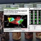 New Peer-Reviewed Study Finds Anomalous Amyloid Microclots in 100% of COVID Vaccinated
