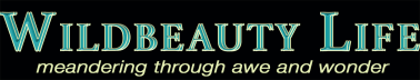 Wildbeauty Life