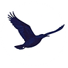 Casa das Liberdades
