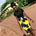 Heych's avatar