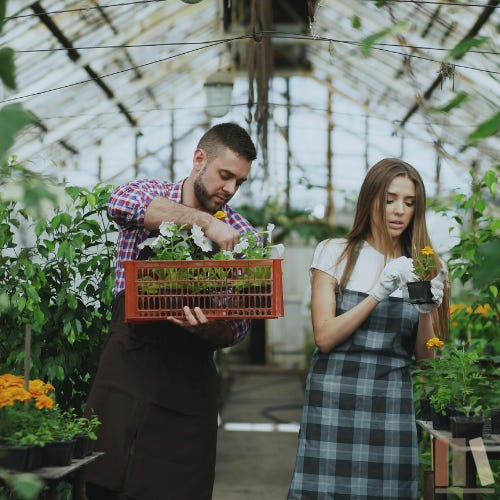 Two people working side by side in a sunlit greenhouse: a man in a plaid shirt and apron carrying a crate of potted flowers while a woman in gloves and a checked apron inspects a small yellow bloom, surrounded by marigolds and climbing vines under a glass roof. Two people working side by side in a sunlit greenhouse: a man in a plaid shirt and apron carrying a crate of potted flowers while a woman in gloves and a checked apron inspects a small yellow bloom, surrounded by marigolds and climbing vines under a glass roof.