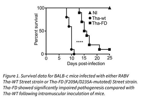 Attenuation Strategies for Live Rabies Vaccine