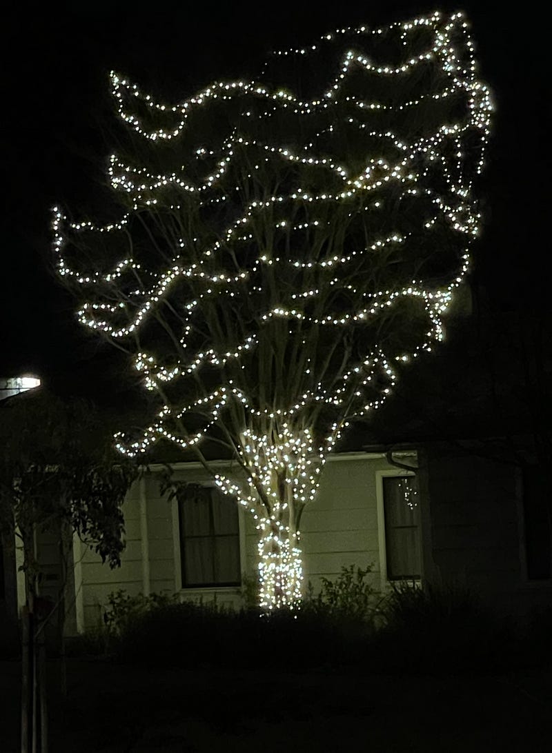A tree in a front yard adorned with Christmas lights.