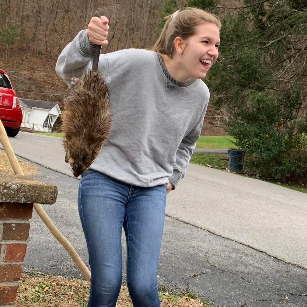 The Bostonian Hillbilly 