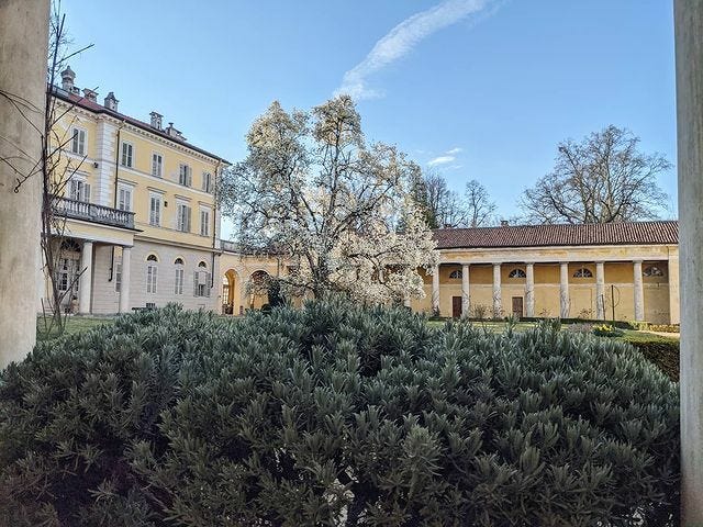 E magnolia sia! 
.
#primavera2021