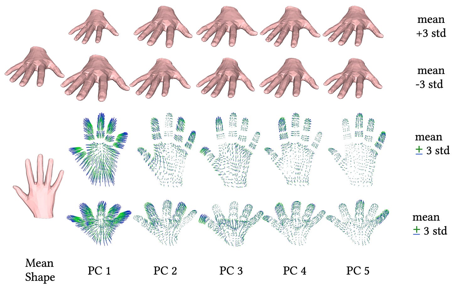 Hand Model Problem Solving 13. Modeling Hands in 3D Made Simple