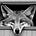 Coyote de Ventanas