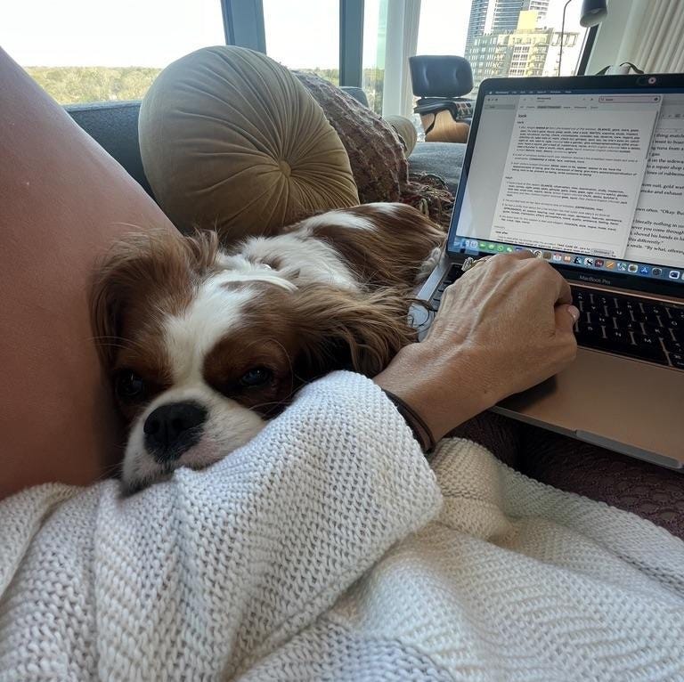 A dog lying on a person's lap
AI-generated content may be incorrect.
