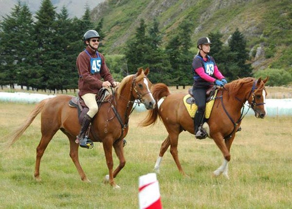Aurora Kool Kat, at right, and Woodlau's Merlin (Mertz) stepping out for Kat's first endurance ride. Aurora Kool Kat, at right, and Woodlau's Merlin (Mertz) stepping out for Kat's first endurance ride.