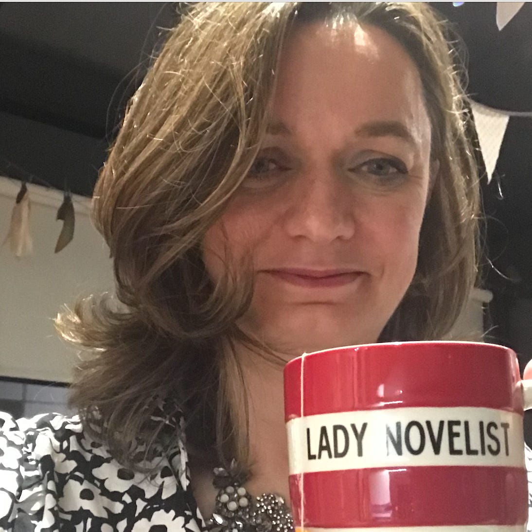 The Lady Novelist Writes