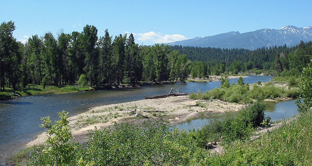 The Bitterroot River in Montana | Detailed Fly Fishing & Floating Guide