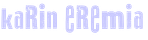 Karin’s Substack