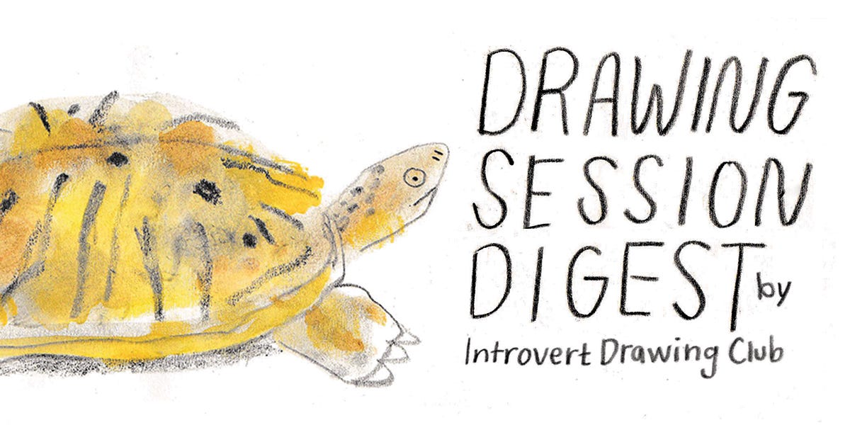 drawing session digest turtle