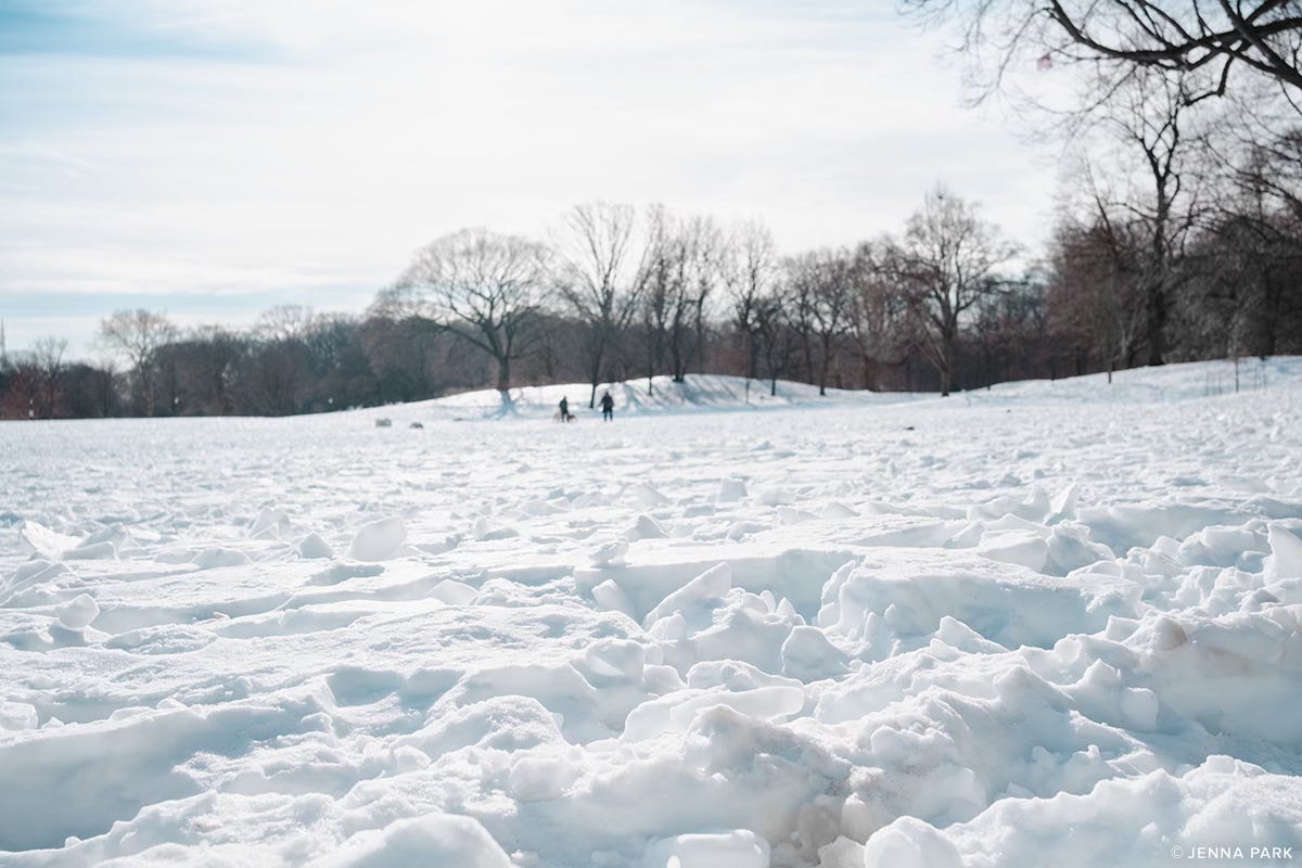 Week old snow in Prospect Park