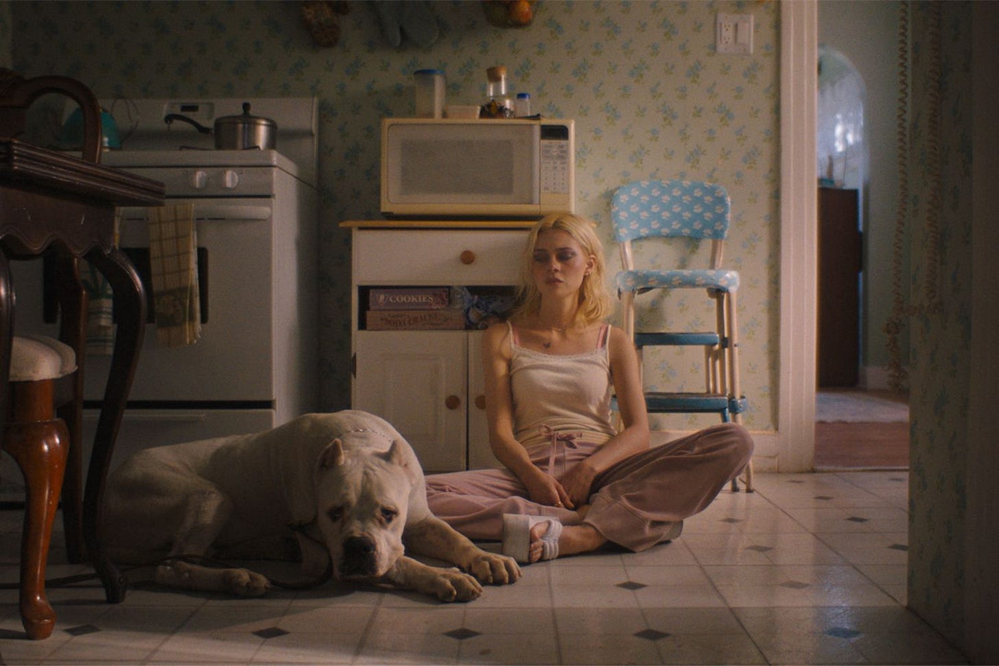 Nicola Peltz Makes Her Directorial Debut with 'Lola' — Watch the Trailer