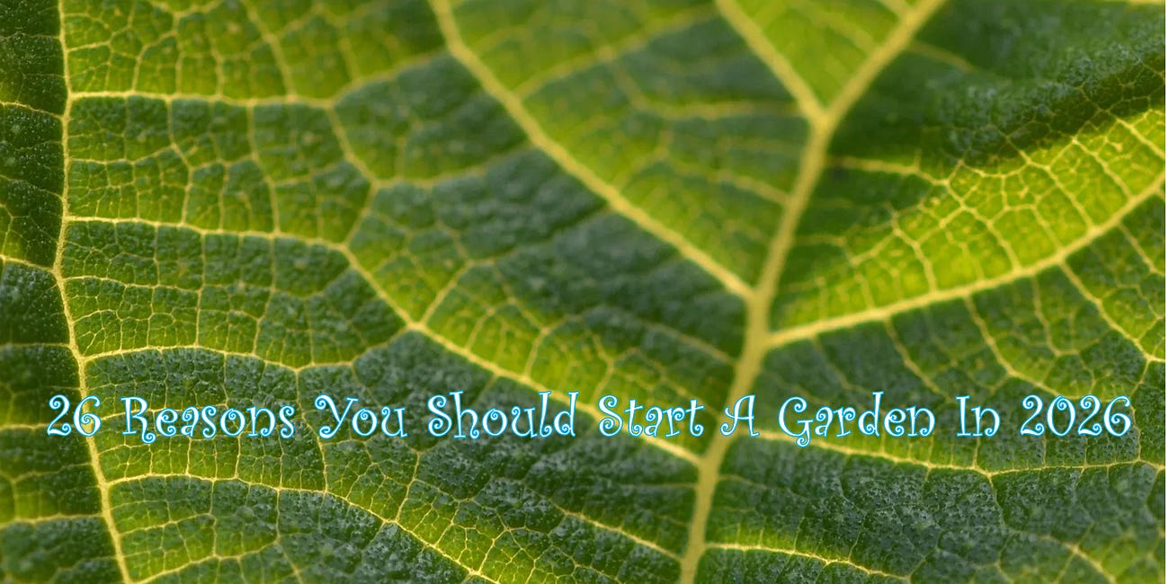 26 Reasons You Should Start a Garden in 2026
