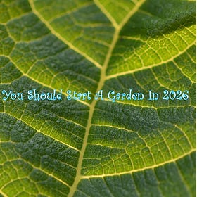 26 Reasons You Should Start a Garden in 2026
