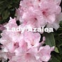 Lady Azalea🩷's avatar