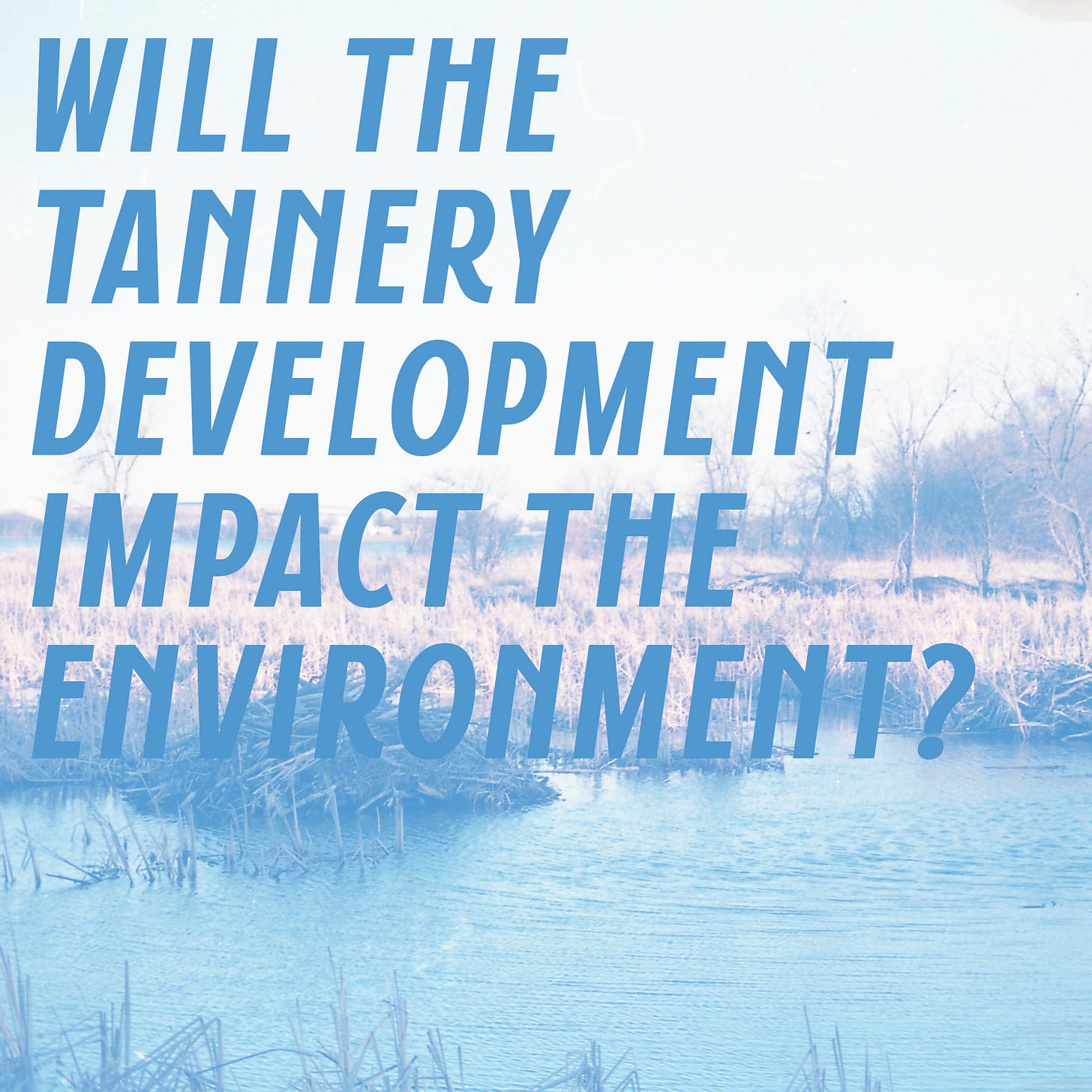 May be an image of sky and text that says 'WILL THE TANNERY DEVELOPMENT IMPACT THE ENVIRONMENT?'