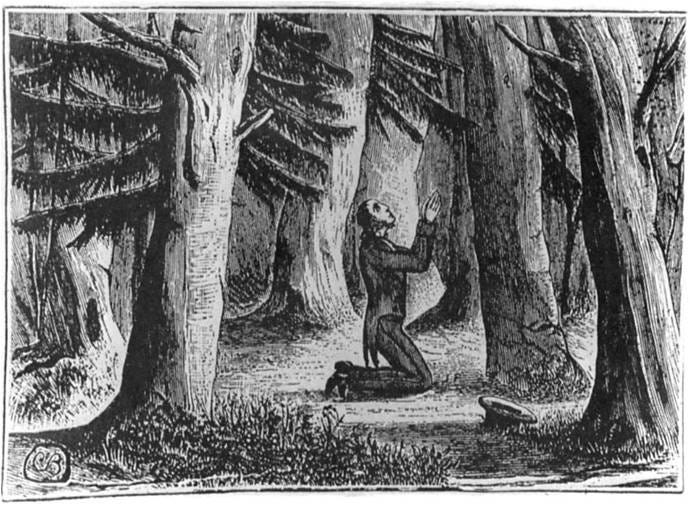 Finney-in-the-Woods